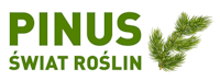 logo pinus